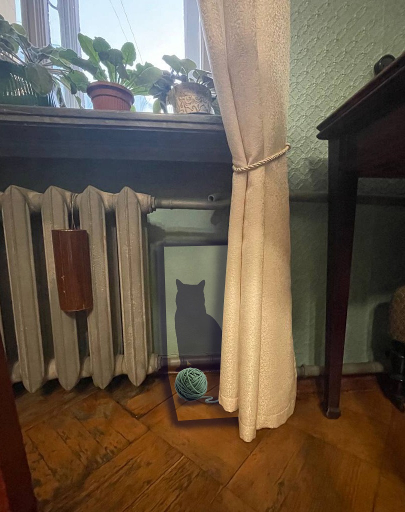 В нашей квартире собаки и кот: питомцы С.М. Кирова