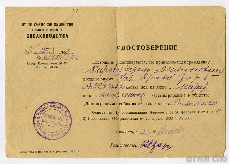 В нашей квартире собаки и кот: питомцы С.М. Кирова