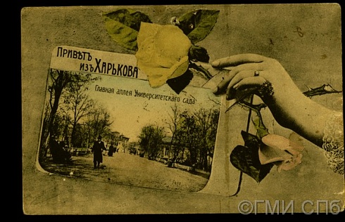 Привет из Харькова. Главная аллея Университетского сада. Начало XX века