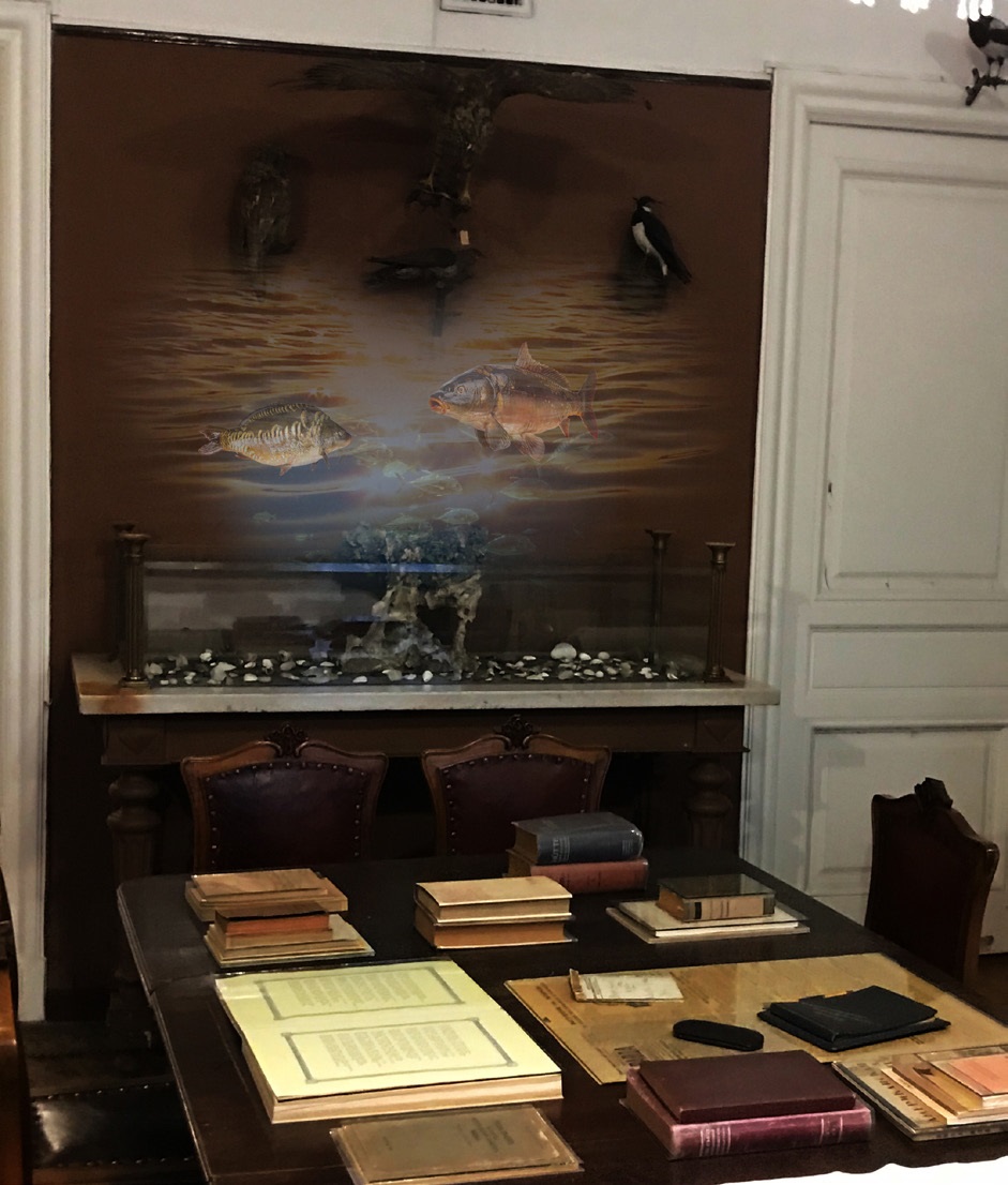 В нашей квартире собаки и кот: питомцы С.М. Кирова